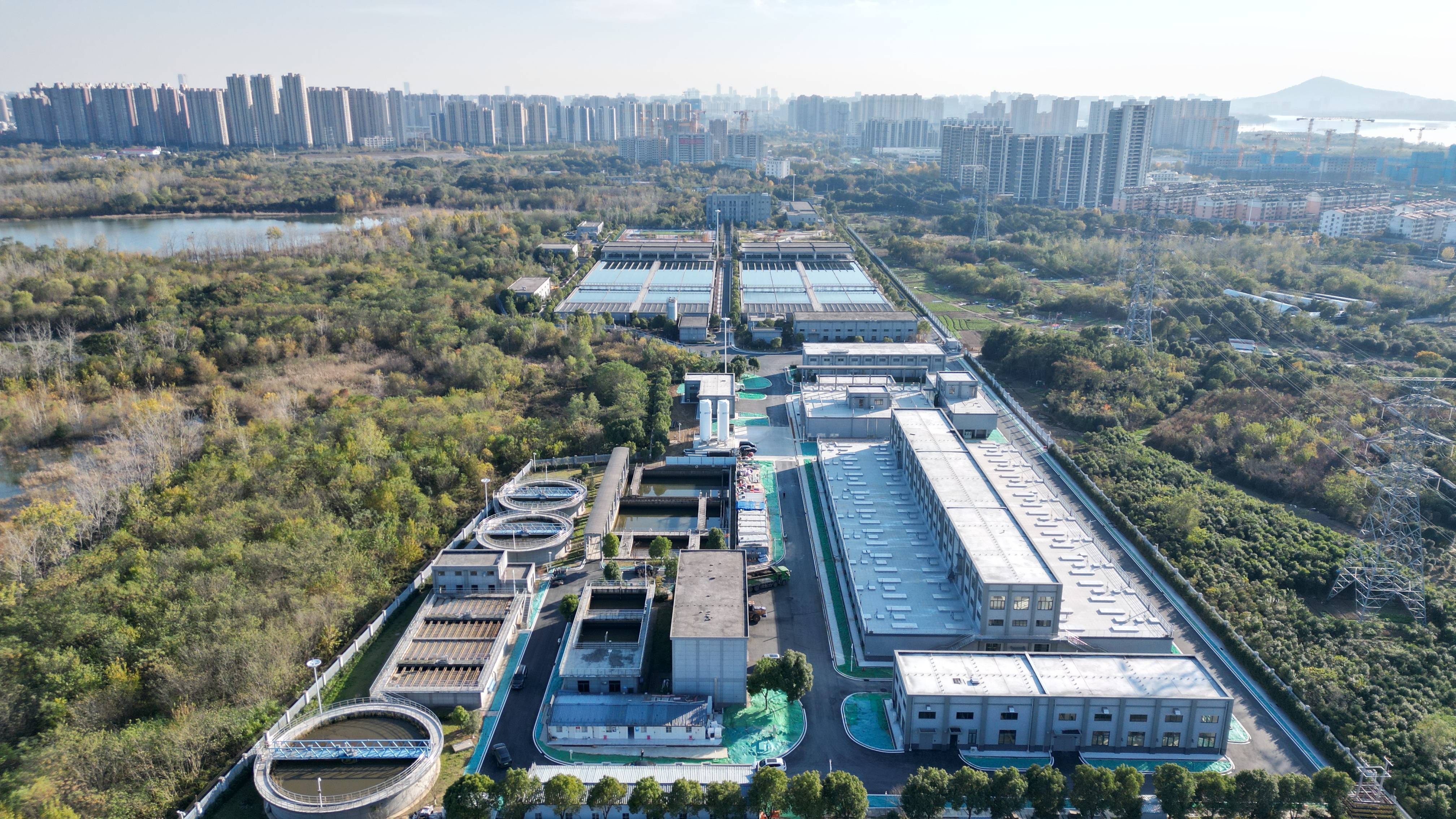 上饶市合肥专业企业价值增长(合肥市重点企业产业目录)