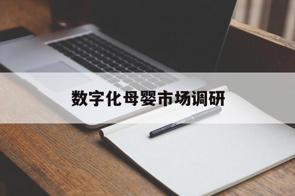 上饶市数字化母婴市场调研(数字化母婴市场调研报告)